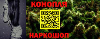 индика Комсомольск-на-Амуре